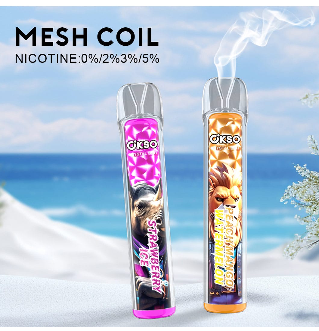 vape w bagażu podręcznym, e-papieros na lotnisku, podróżowanie z vapem samolotem - Przewodnik po podróżach lotniczych na rok 2025: Czy można wnosić ...