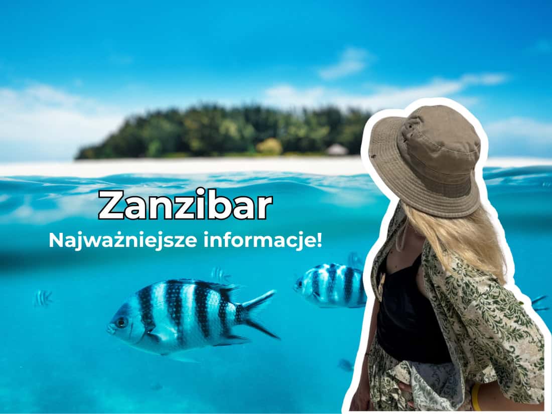 12600 zł zaoszczędzone rocznie vape, używany samochód wakacje z Zanzibaru, sterta pieniędzy z oszczędności - Zanzibar kiedy lecieć? Najlepszy czas i praktyczne tipy