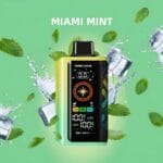 maskking icex miami mint