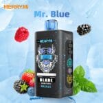 Mr. Blue
