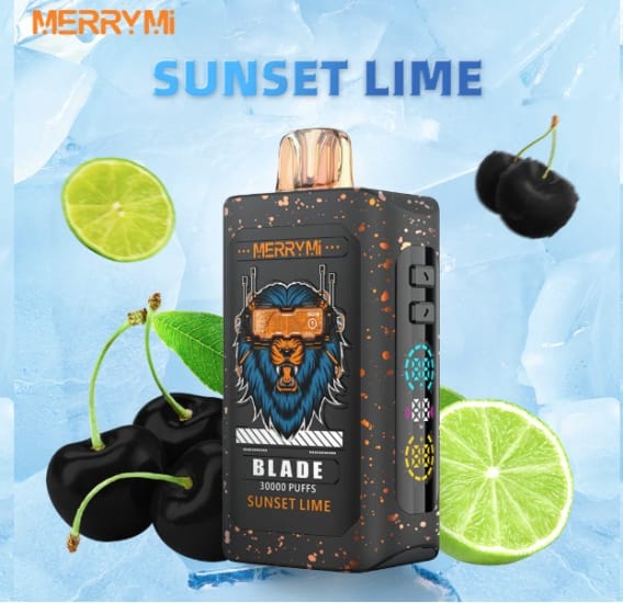 Merrymi Blade 30000 smaki, eksperymentalne smaki vape, Aperol Jager Wilderness Forest e-papieros - Merry Mi Blade Jednorazowy e-papieros 30000 Buchów o smaku...