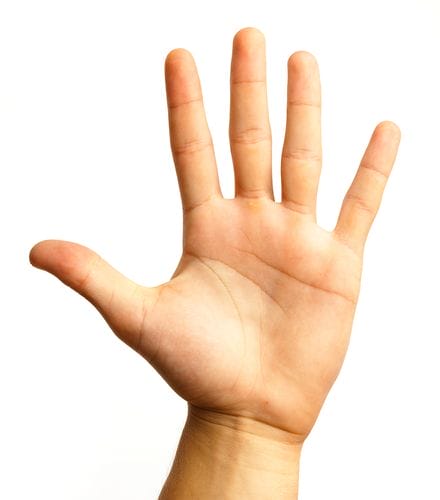 hand - With One Slip, a Hand Injury Could Ruin Your Winter | Live ...