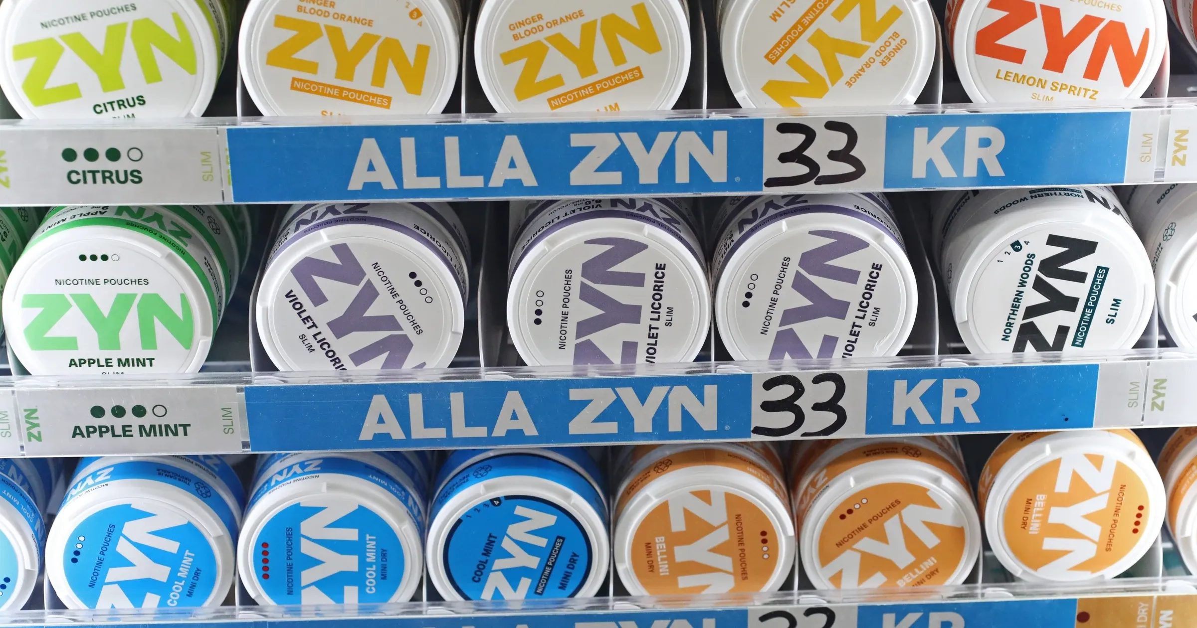 Kolekcja różnokolorowych woreczków nikotynowych z etykietami smaków, obok której widnieje symbol zakazu lub tylko woreczek o smaku tytoniowym.