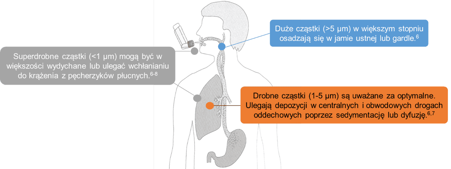 Mikroskopijny obraz rzęsek w drogach oddechowych, aktywnie poruszających się i usuwających śluz oraz zanieczyszczenia, symbolizujący początkowy etap regeneracji płuc.